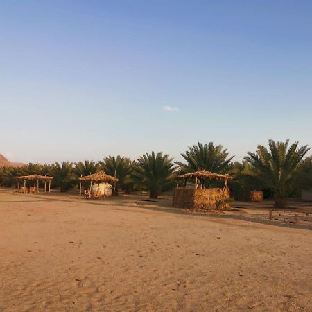 Almazham Camp Resort Ель-Ула Екстер'єр фото