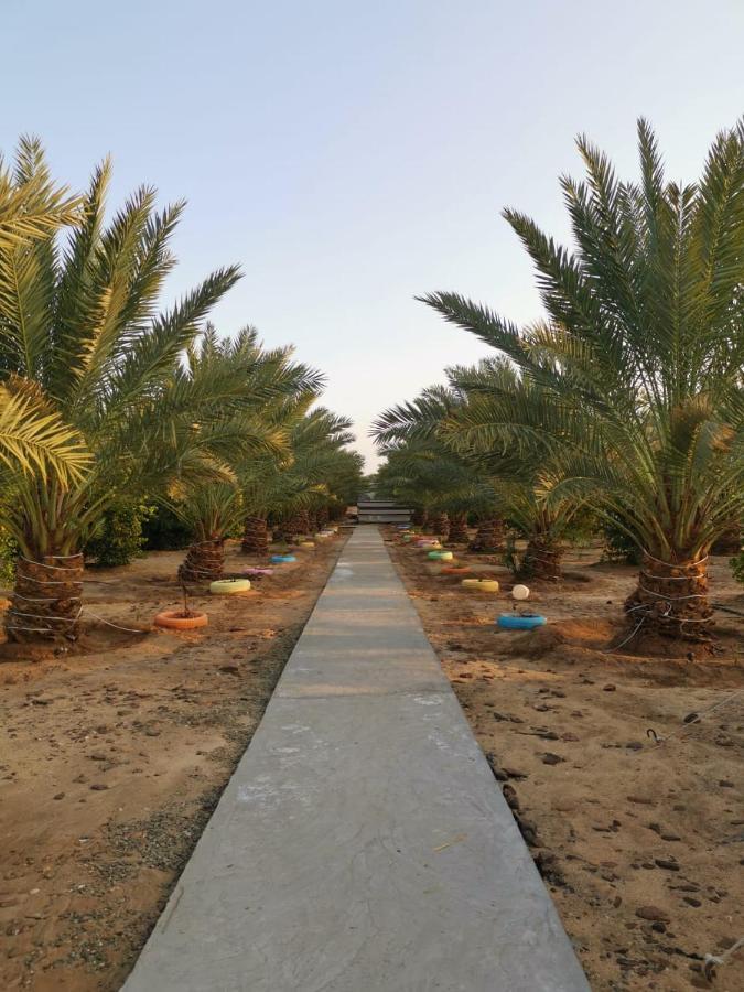 Almazham Camp Resort Ель-Ула Екстер'єр фото