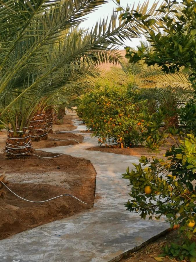 Almazham Camp Resort Ель-Ула Екстер'єр фото