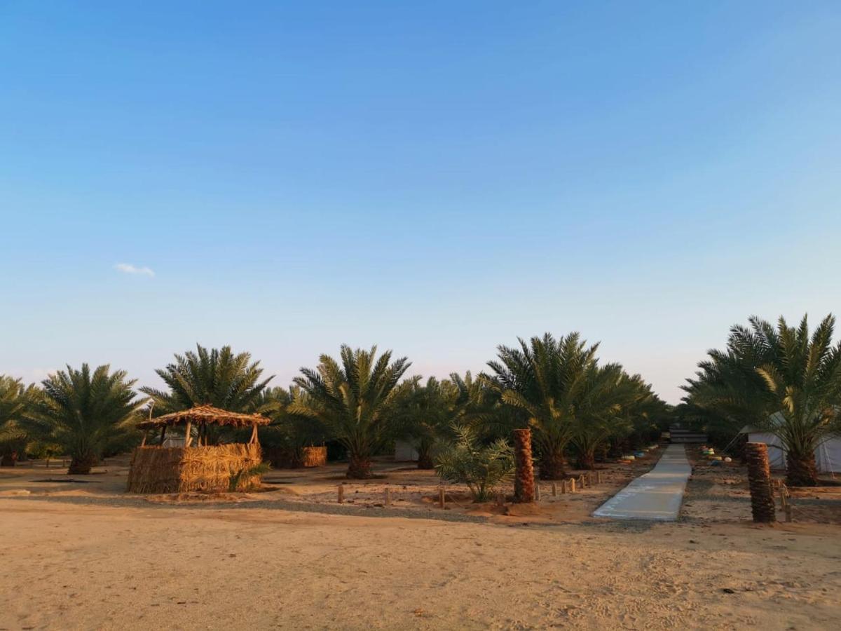 Almazham Camp Resort Ель-Ула Екстер'єр фото