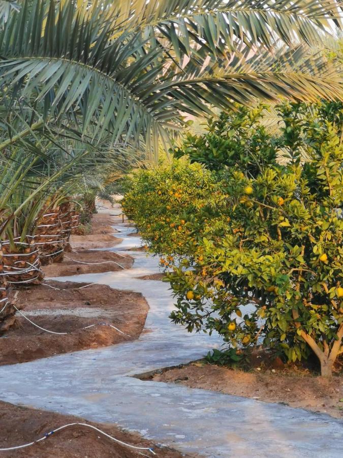 Almazham Camp Resort Ель-Ула Екстер'єр фото